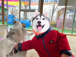 -萌宠亲子动物乐园(槐房万达店)