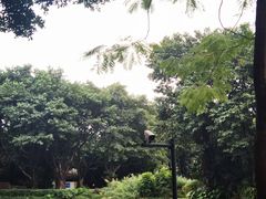 -广州长隆飞鸟乐园