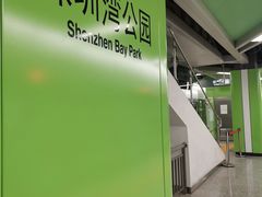 -深圳湾公园(南山区)