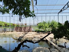 -河北村民俗体验园