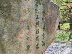 -香雪海