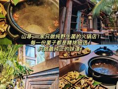 -西双版纳原始森林公园