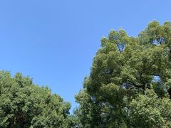 -四川大学(望江校区)