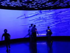 -同济大学四平路校区深海探索馆