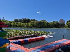 -WhaleSports户外水上运动俱乐部(朝阳公园店)