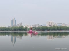 -莲花池公园