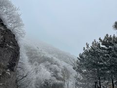 -妙峰山风景名胜区