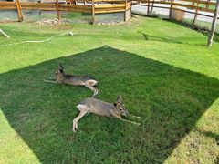 -祥源·阜阳生态乐园