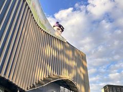-凯德MALL(望京店)