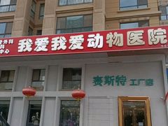 -中农大我爱我爱24h动物医院·中医针灸·猫专科·骨科医疗中心(双井店)