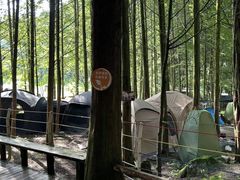 -武陵山森林公园