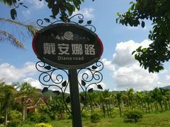 -亚龙湾国际玫瑰谷