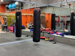 -健身专家Wellness Experts