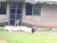 -西安秦岭野生动物园