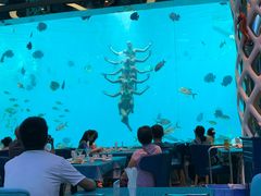 -瑞德姆美人鱼海底演艺主题餐厅(亚龙湾店)