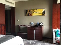 -常州环球恐龙城维景国际大酒店