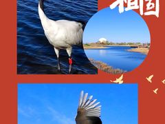 -黑龙江扎龙生态旅游区