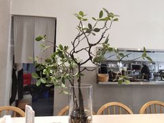 -小豆海棠(嘉兴路店)