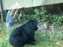 -海南热带野生动植物园
