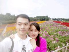 -东部华侨城
