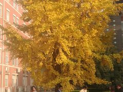 -四川大学(望江校区)