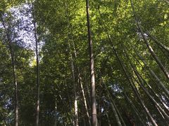 -敬亭山风景名胜区