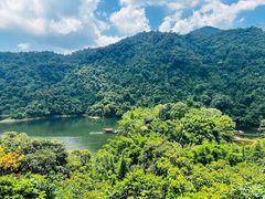 -鼎湖山风景区