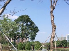 -顺峰山公园