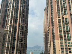 -香港大学