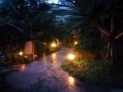 -南宫温泉水世界