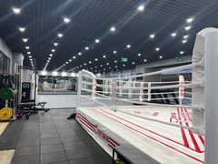 -臻元搏击格斗泰拳拳馆(港隆店)