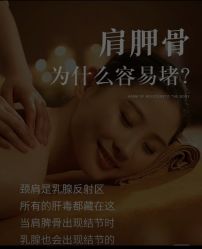 点击看大图 -玛莲朵·海菲秀冰珀科