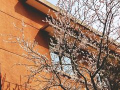 -大连理工大学(凌水校区)