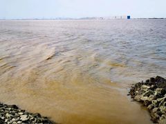 -大湾区中央湿地公园