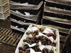 -西郊国际农产品交易中心