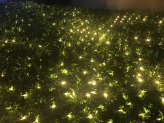 -童陈记重庆冷串串(食宝街店)