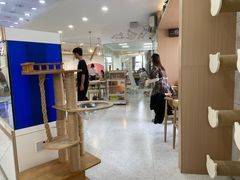-喵园·猫主题咖啡厅·撸猫·猫咖(国贸店)