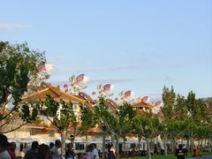 -渔岛海洋度假区