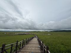 -御道口草原森林风景区