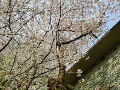 -白塘生态植物园