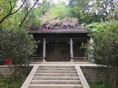 -深圳国际园林花卉博览园