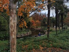 -上海共青森林公园