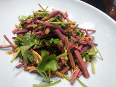 香麻野蕨菜-九十九顶毡房(阜石路店)