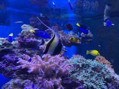 -上海海昌海洋公园