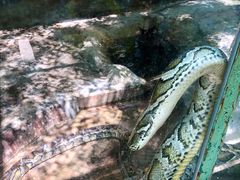 -广东茂名森林公园