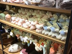 -九木杂物社(恒隆广场店)