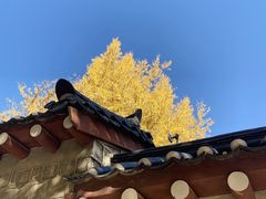 -景福宫
