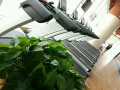 有氧器械区&nbsp;跑步机-奇迹健身金茂汇店