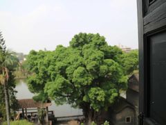 -东莞市可园博物馆