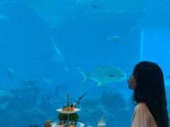 -海棠湾洲际-涛·海底餐厅·美人鱼·自助餐·海底隧道